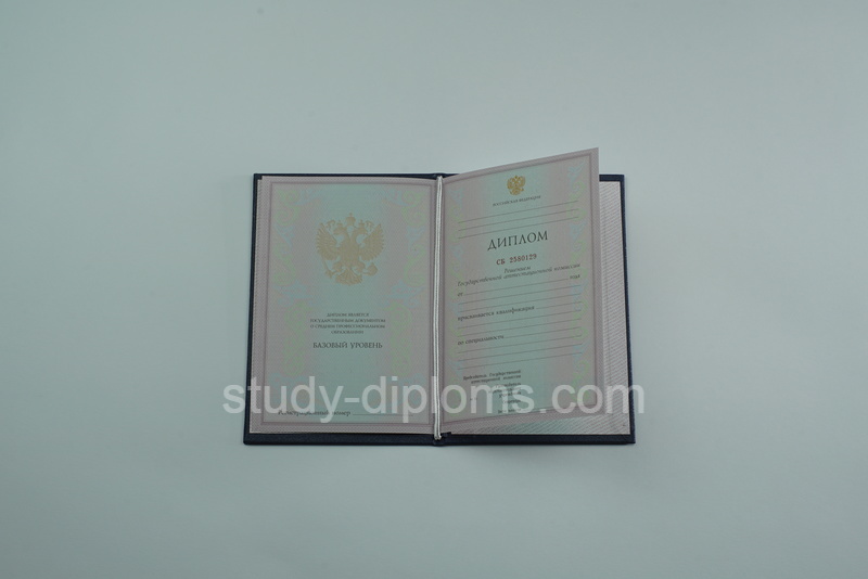 Диплом колледжа с 2003 по 2006 год на оригинальном бланке Диплом колледжа с 2003 по 2006 год на оригинальном бланке